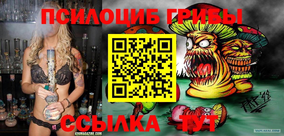 Псилоцибиновые грибы Cubensis  Вход с VPN  Люберцы 